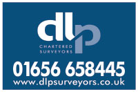 DLP Logo